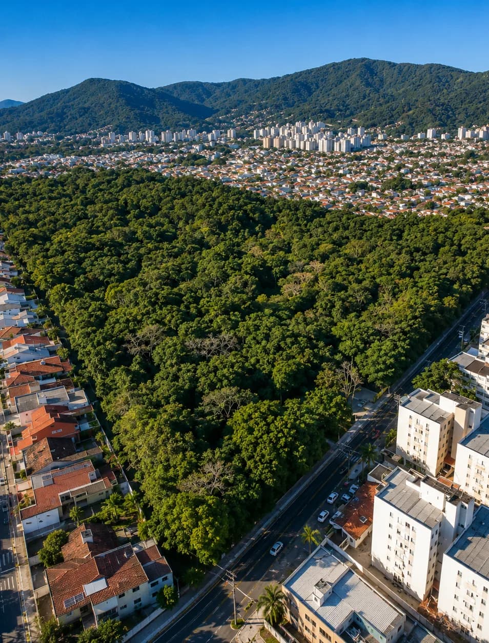 Parque de Coqueiros, em Florianópolis