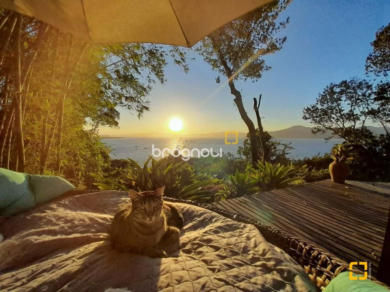 TERRENO com casas em ampla estrutura multifamiliar de frente para o mar na Praia do Forte em Jurerê — foto principal