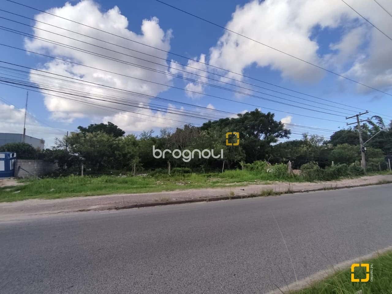 BROGNOLI VENDE - TERRENO COMERCIAL/RESIDENCIAL - SC 403 - VARGEM GRANDE — foto principal