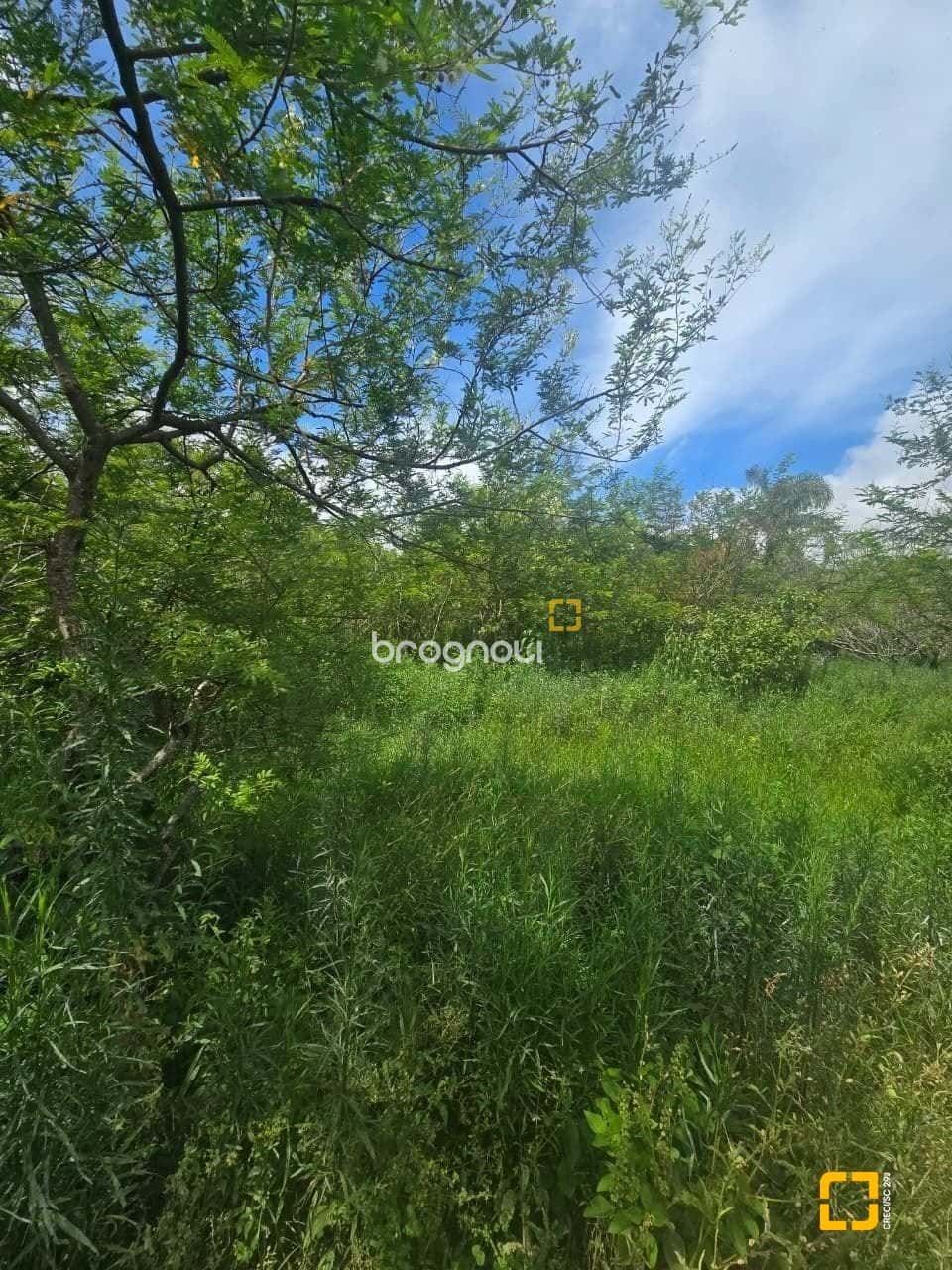 Terreno Praia dos Açores, Pantano do Sul, Financiável. — foto principal
