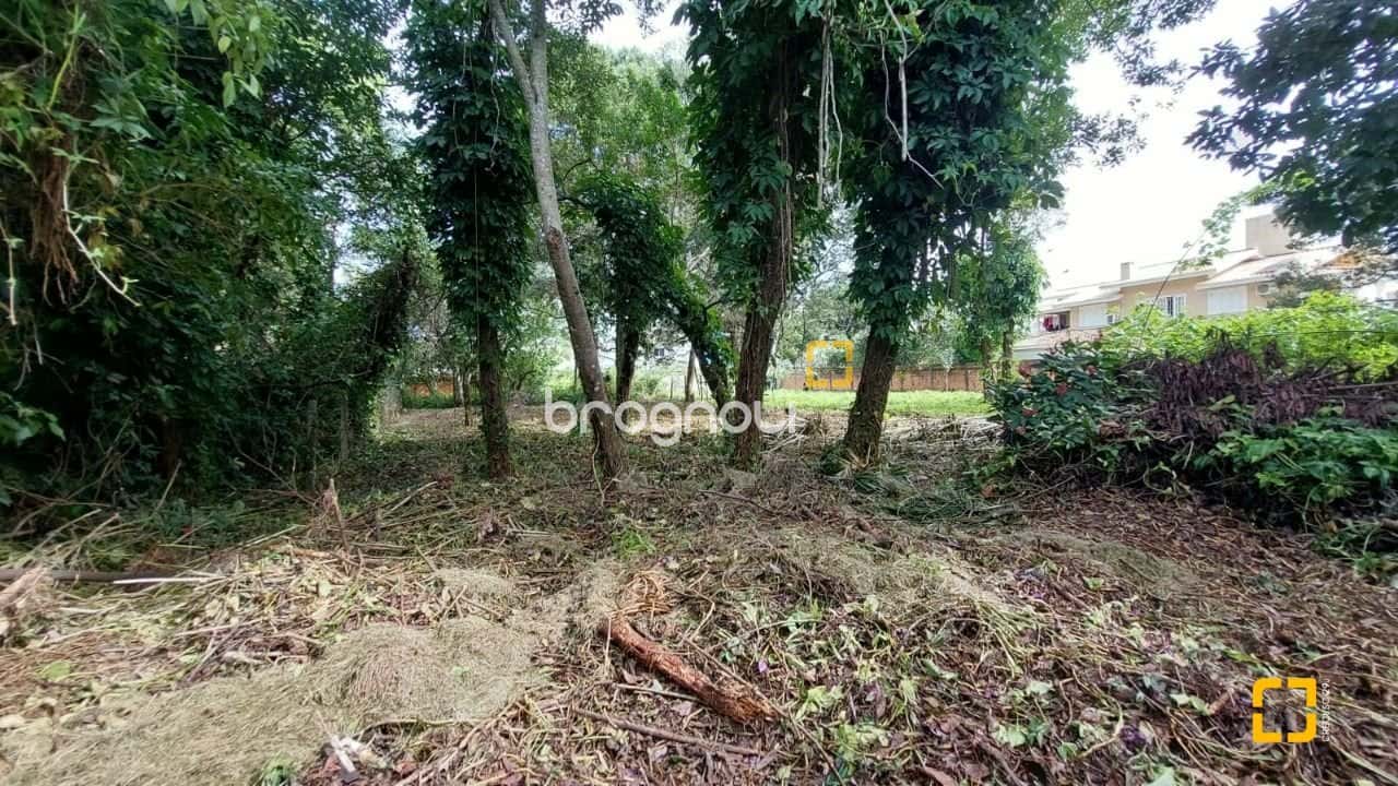 Terreno plano no Campeche central em Florianópolis SC — foto principal