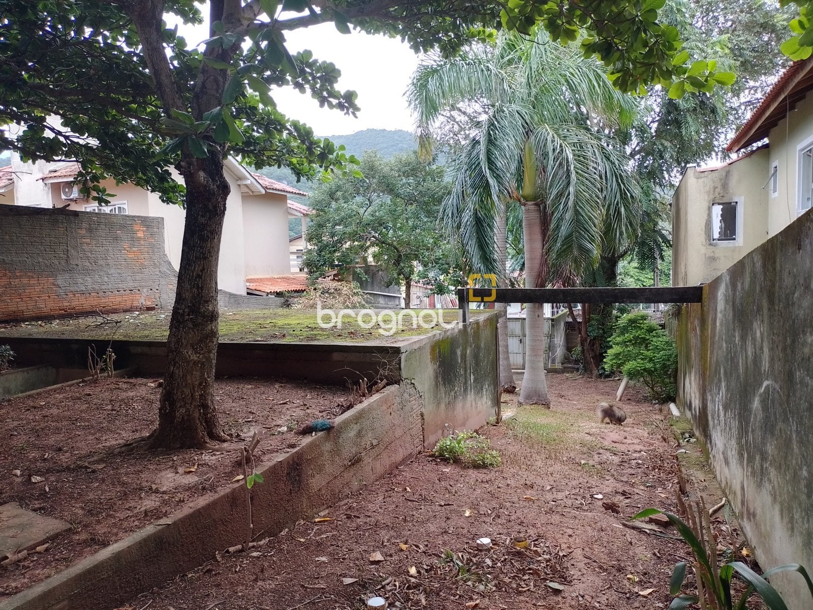 Casa à venda em Ingleses do Rio Vermelho, Florianópolis/SC — foto principal