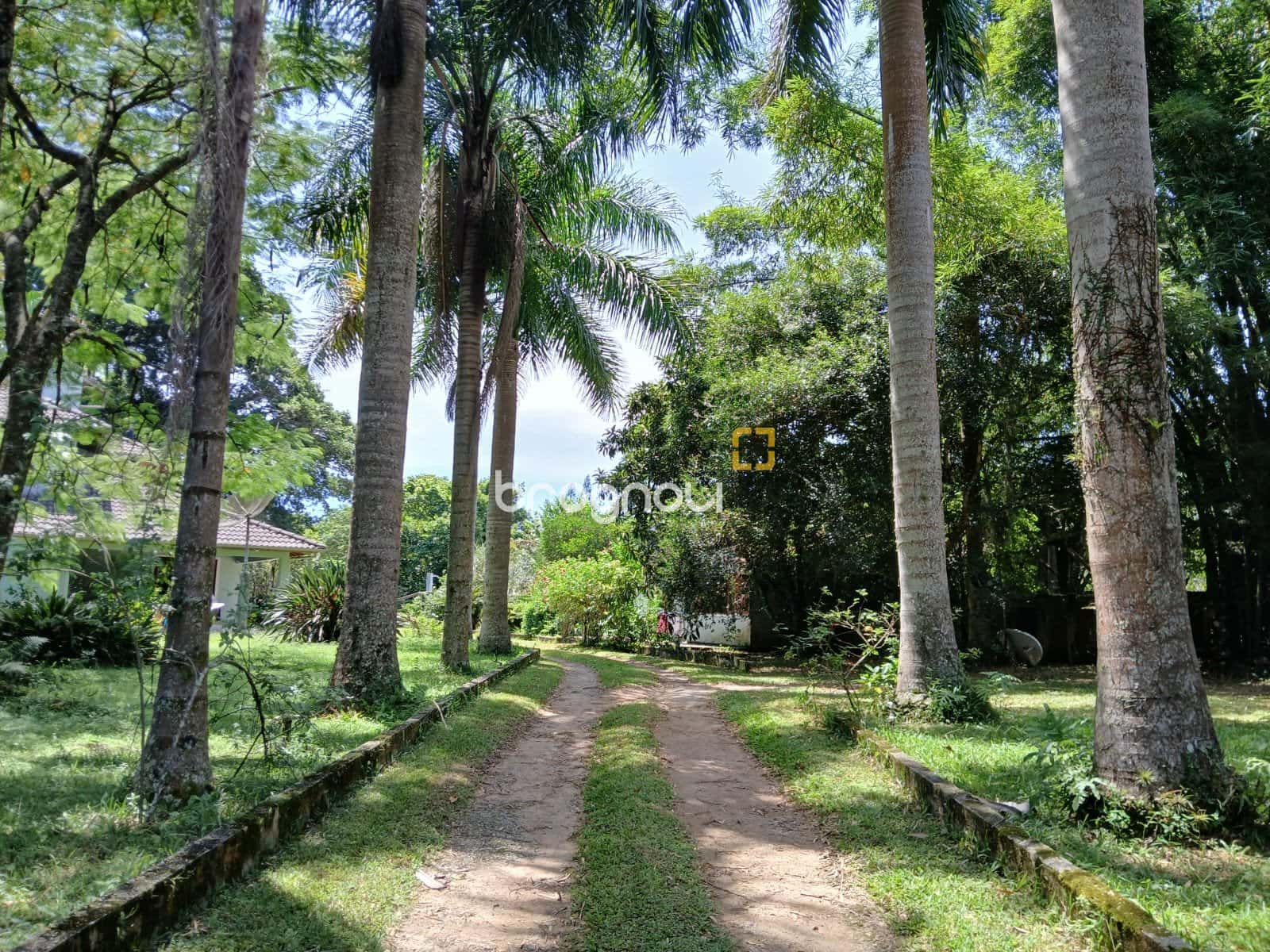 Sitio em Ratones — foto principal