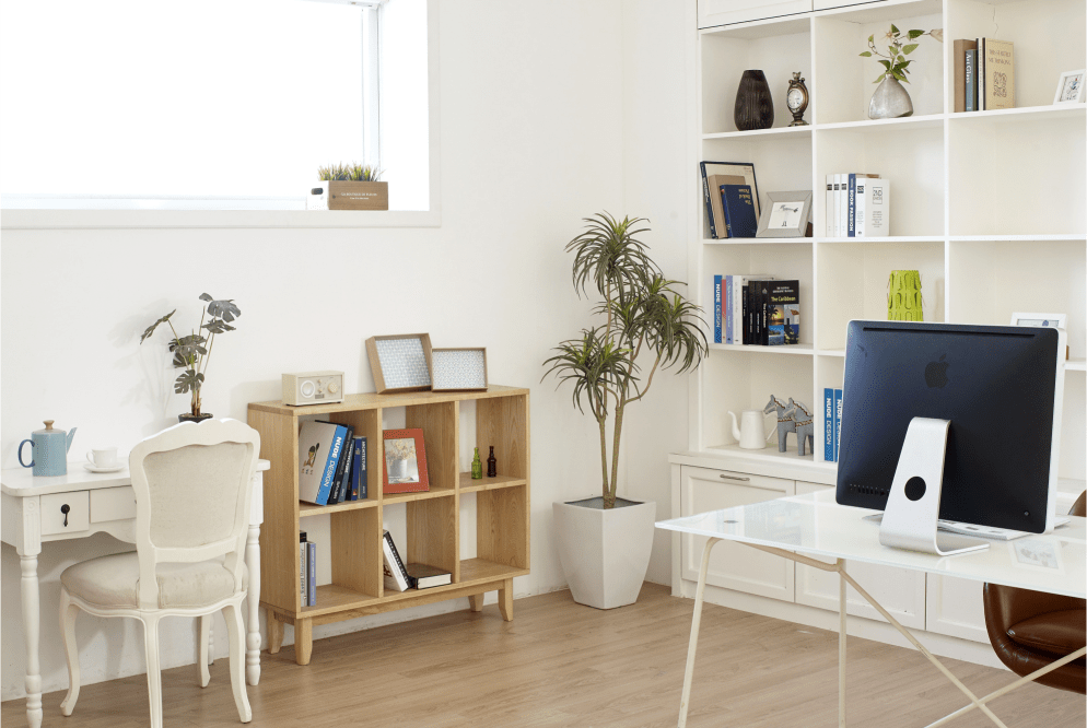 Dicas para Decorar a Casa com Plantas