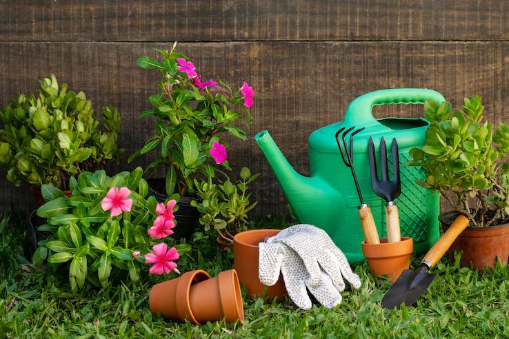 6 ideias de decoração para quintal simples e pequeno
