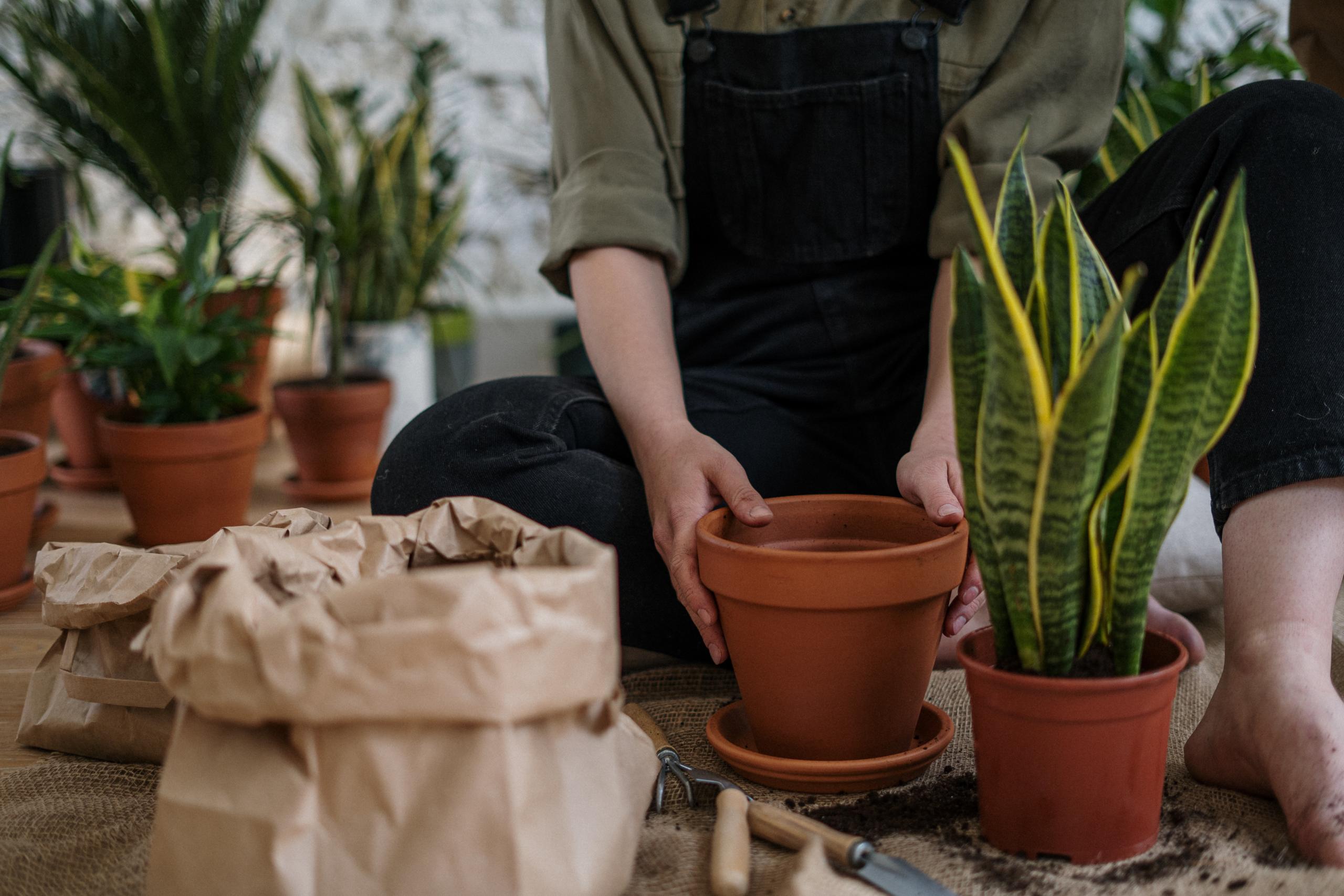 Jardim Simples: Dicas para fazer o seu!