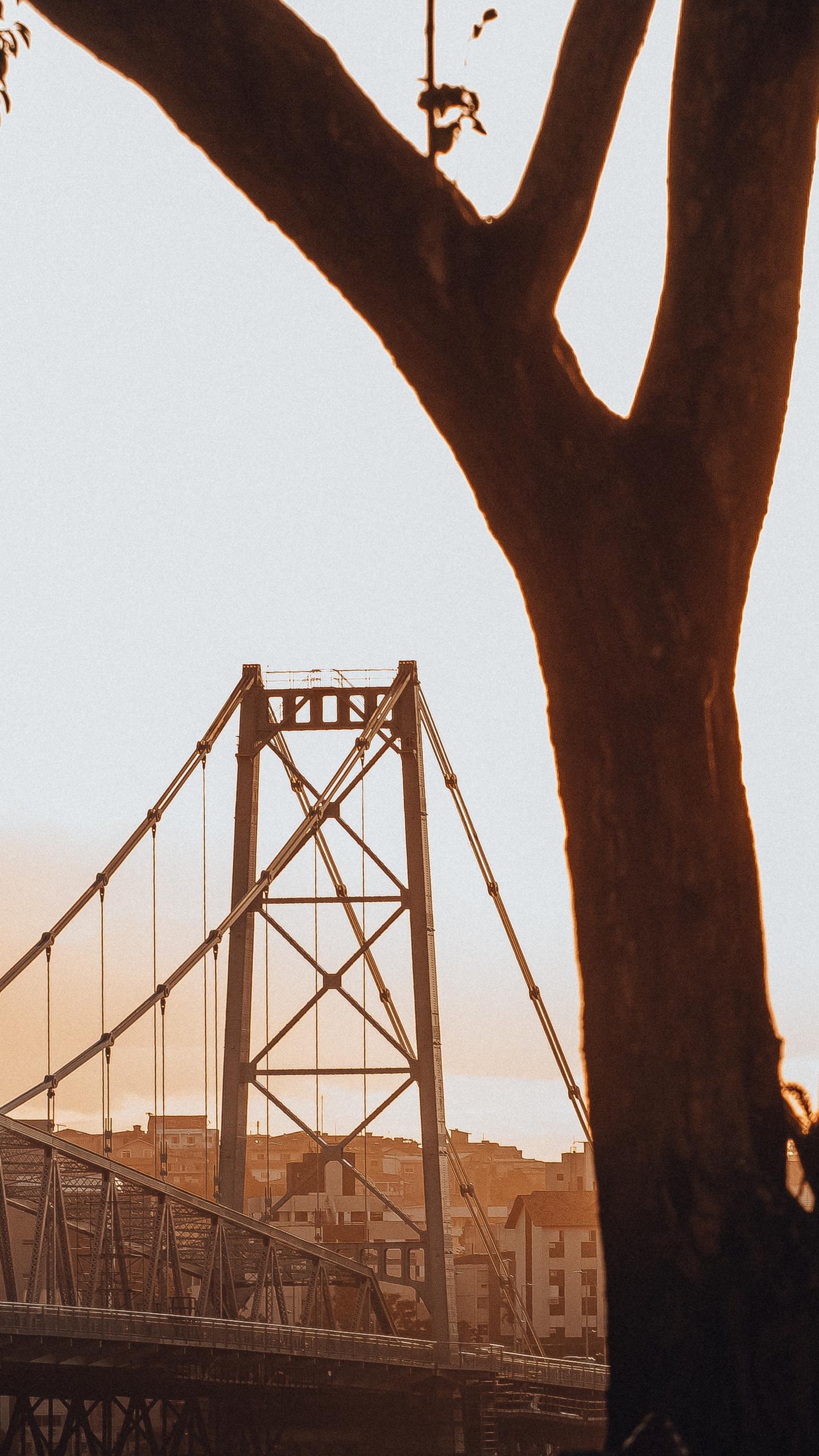 Dicas de pubs e bares em Florianópolis para todos os gostos