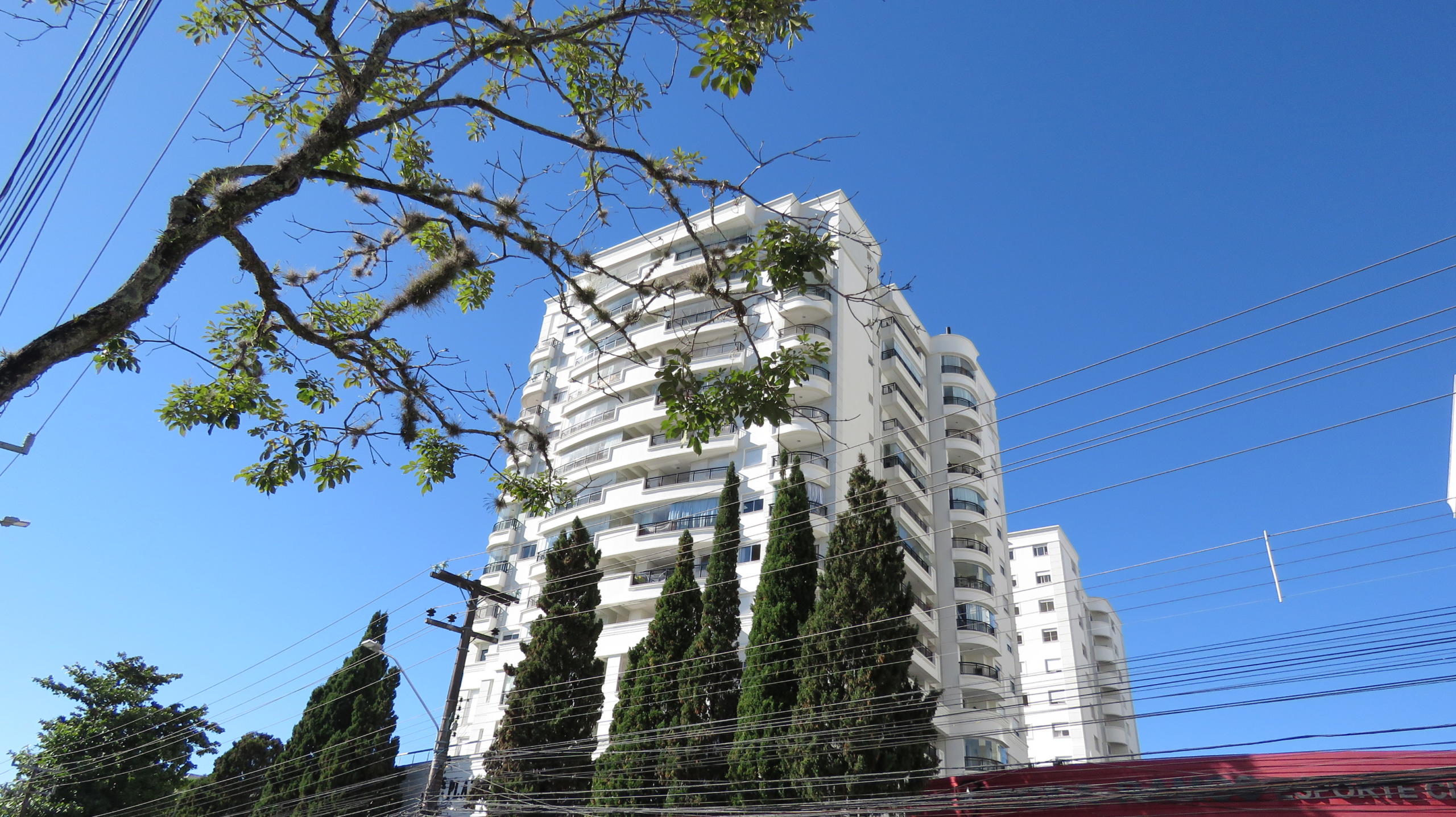 Santa Mônica: guia completo para conhecer o bairro!
