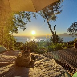 Casa Comercial com 226m², 4 garagens, no bairro Jurerê em Florianópolis