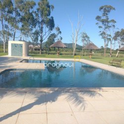 Terreno com 35000m², no bairro Ratones em Florianópolis