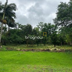 Terreno com 2327m², no bairro Sul do Rio em Santo Amaro da Imperatriz