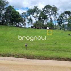 Terreno com 1000m², no bairro Invernadinha em Rancho Queimado