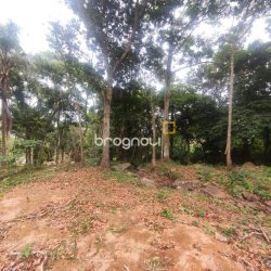 Terreno com 38760m², no bairro Ratones em Florianópolis