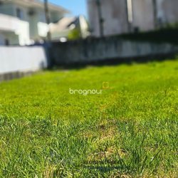 Terreno com 450m², no bairro Jurerê Internacional em Florianópolis