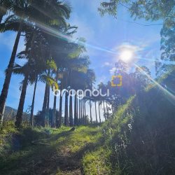 Sítio com 35369m², 2 quartos, 1 garagem, no bairro Garcia em Angelina