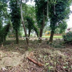 Terreno com 754m², no bairro Campeche em Florianópolis