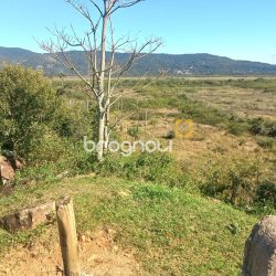 Terreno, no bairro Ratones em Florianópolis
