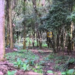 Terreno com 20m², no bairro Santa Augusta em Braço do Norte