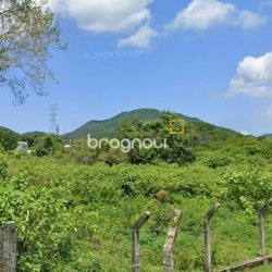Terreno com 16000m², no bairro Ratones em Florianópolis