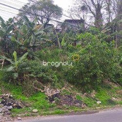 Terreno com 480m², no bairro Saco Grande em Florianópolis