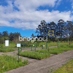 Terreno com 444m², no bairro Canasvieiras em Florianópolis
