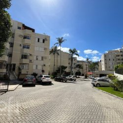 Apartamentos com 6595m², 2 quartos, no bairro Trindade em Florianópolis