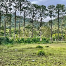 Terrenos Residenciais com 793m², no bairro Rio Tavares em Florianópolis