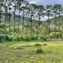 Terrenos Residenciais com 743m², no bairro Rio Tavares em Florianópolis