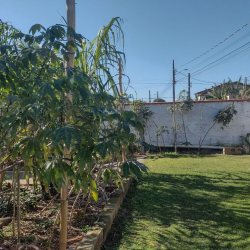 Casa Residencial com 133m², 5 quartos, 2 suítes, 3 garagens, no bairro Ingleses do Rio Vermelho em Florianópolis
