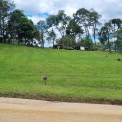 Terrenos Residenciais com 1000m², no bairro Invernadinha em Rancho Queimado