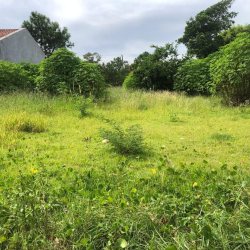 Terreno Comercial/Residencial com 502m², no bairro Campeche em Florianópolis