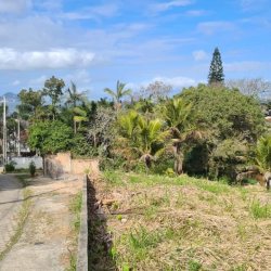 Terrenos Residenciais com 11123m², no bairro Sambaqui em Florianópolis