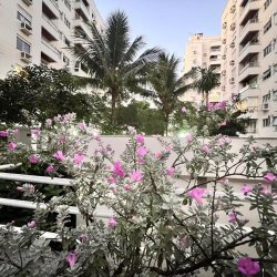 Apartamentos com 111m², 3 quartos, 1 suíte, 3 garagens, no bairro Trindade em Florianópolis