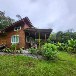 Sitio com 3025m², 1 quarto, 5 garagens, no bairro Loeffelscheidt em Águas Mornas