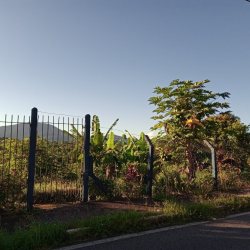 Terrenos Residenciais com 4800m², no bairro Jurere Leste em Florianópolis