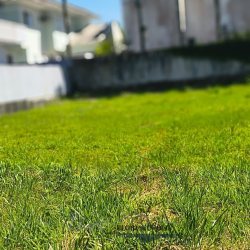 Terrenos Residenciais com 450m², no bairro Jurerê Internacional em Florianópolis