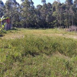 Terreno Comercial/Residencial com 364m², no bairro São João Do Rio Vermelho em Florianópolis