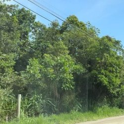 Terrenos Residenciais com 1675m², no bairro João Paulo em Florianópolis