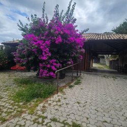 Casa Residencial com 230m², 3 quartos (sendo 2 suítes), 2 garagens, no bairro Centro em São José