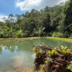 Chacara com 100m², 1 quarto, 3 garagens, no bairro Localidade De Freitas em Paulo Lopes