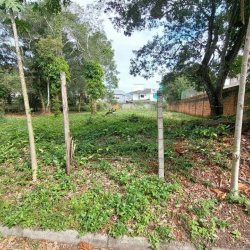 Terreno Comercial/Residencial com 747m², no bairro Campeche em Florianópolis