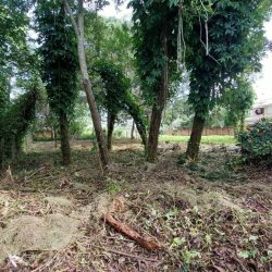Terreno Comercial/Residencial com 754m², no bairro Campeche em Florianópolis
