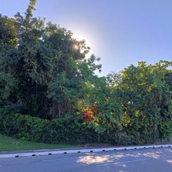 Terreno Comercial/Residencial com 1125m², no bairro Estreito em Florianópolis