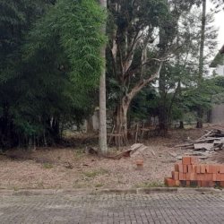 Terrenos Residenciais com 455m², no bairro Ratones em Florianópolis