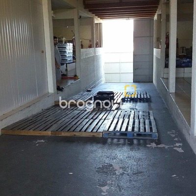 Galpão com 1270m², 6 garagens, no bairro Serraria em São José