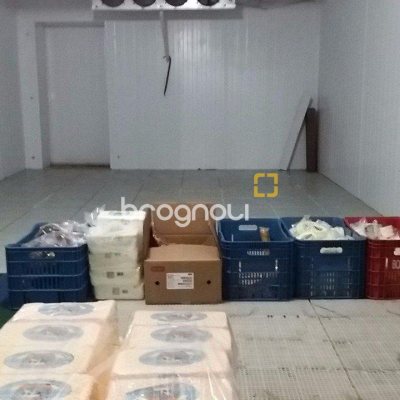 Galpão com 1270m², 6 garagens, no bairro Serraria em São José