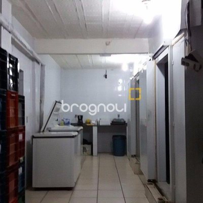 Galpão com 1270m², 6 garagens, no bairro Serraria em São José