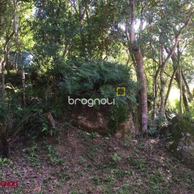 Sítio com 17763m², 3 quartos (sendo 1 suíte), 1 garagem, no bairro Vargem Pequena em Florianópolis