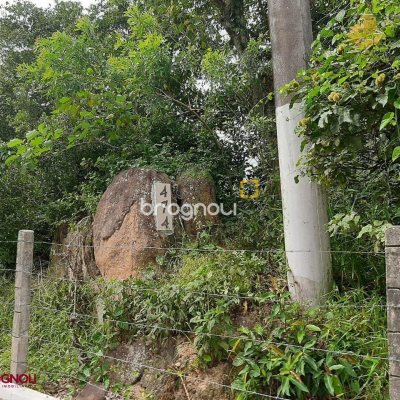 Terreno com 4990m², no bairro Vargem Pequena em Florianópolis