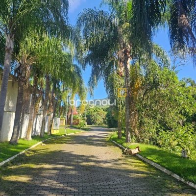 Terreno com 450m², no bairro Ratones em Florianópolis